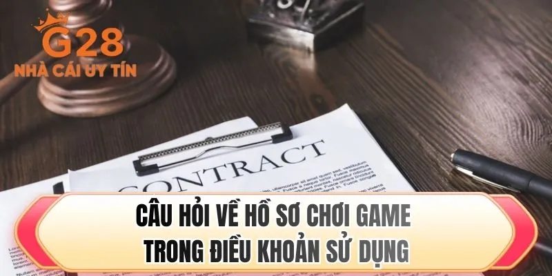 Câu hỏi về hồ sơ chơi game trong điều khoản sử dụng